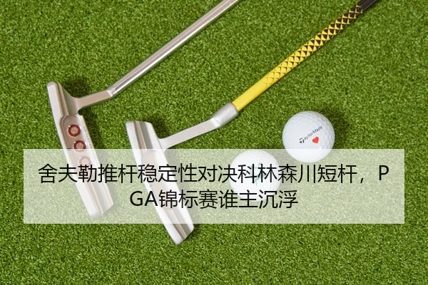 she-fu-lei-tui-gan-wen-ding-xing-dui-jue-ke-lin-sen-chuan-duan-gan-jin-biao-sai-shui-zhu-chen-fu-3-313.jpg