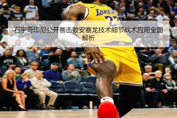 shi-yu-qi-yin-ni-gong-kai-sai-ji-bai-an-sai-long-ji-shu-xi-jie-zhan-shu-ying-yong-quan-mian-jie-xi-3-733.jpg