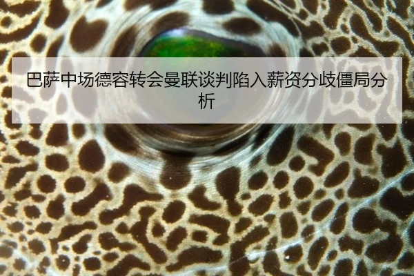 巴萨中场德容转会曼联谈判陷入薪资分歧僵局分析