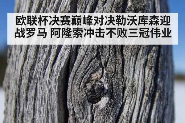 欧联杯决赛巅峰对决勒沃库森迎战罗马 阿隆索冲击不败三冠伟业